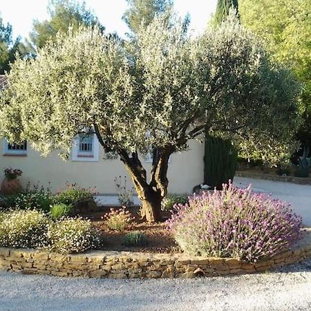Villa Maison privée au calme dans Mas provencal à Sanary-sur-Mer Extérieur photo